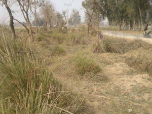 move eye (3264 x 2448 px)